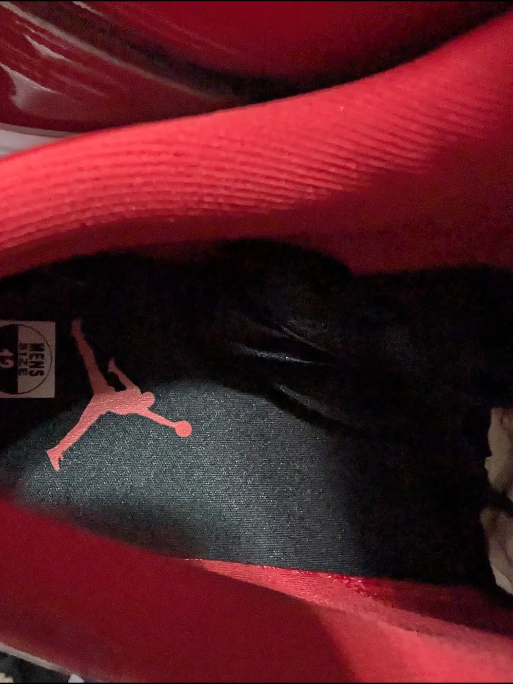 Jordan Men's Low-Top Sneaker in Red and Black